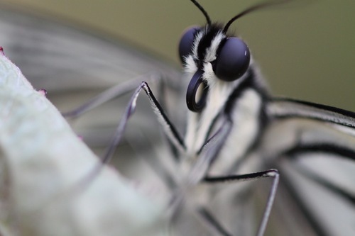 Georrrrge's profile picture. 今日も放浪しています．旅と積読，写真，変ないきものが好き．きゅうだいせいたいけん．