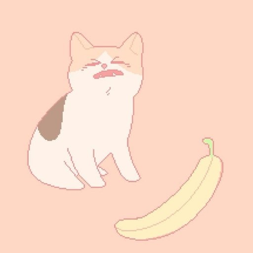 dodd0ro's profile picture. 