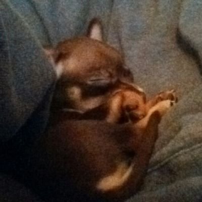 pydraco's profile picture. 