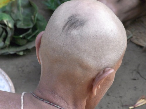 ratinsniper's profile picture. 