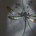 Sheila Gold - @QSuzie - Twitter