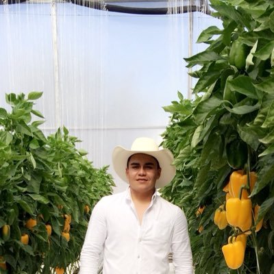 Siembra una acción, y cosecharás un hábito. Cultiva un hábito, y obtendrás un carácter. Cultiva un carácter, y cosecharás tu propio destino.