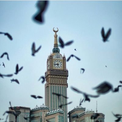 Ranooy95's profile picture. ‏‏- واجعلني الُلهـمَ كـطهر الغمام افيضُ بالعطاء دائماً⭐️.