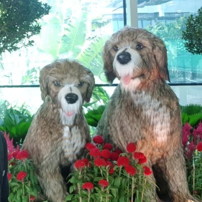 MovingSri's profile picture. Media, Technology, Entrepreneurship