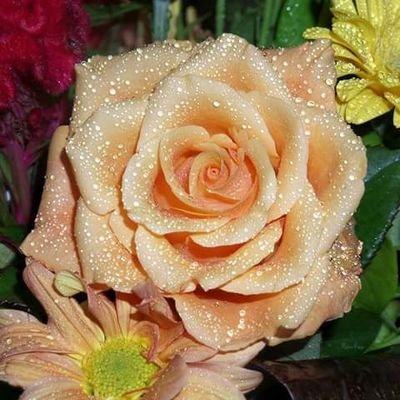 NickieLaguna's profile picture. Simple people...