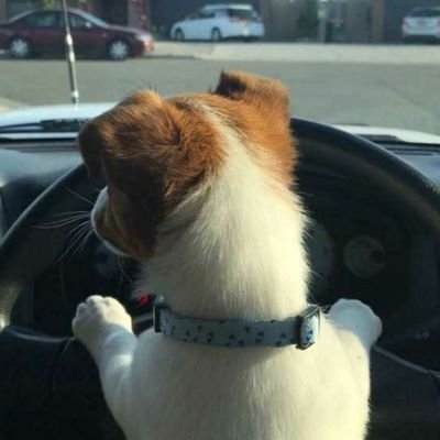 huanghai0712's profile picture. 老了，不折腾了