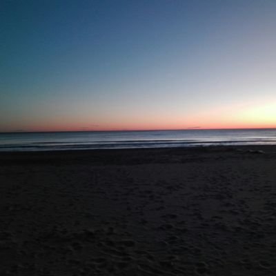 crazytua's profile picture. 