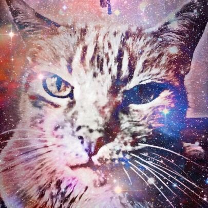 LaArchivista's profile picture. A detuned radio.
Portavoz y Manager de @joserudogray ®