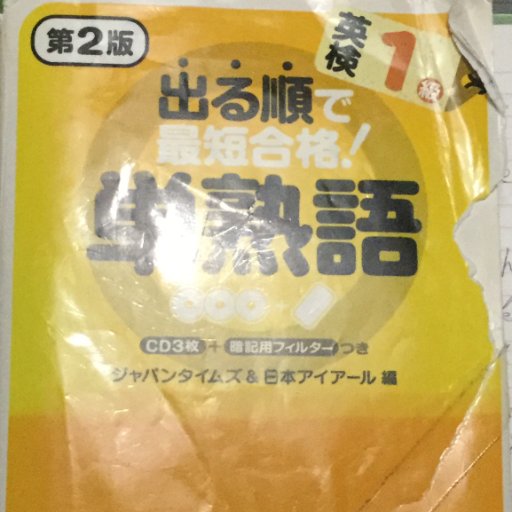 ベビーブーマーの子供たちのひとり。すでにおじさん。S台(理系)卒。構文派。