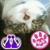 猫大好き。
趣味は卓球、ピアノにRock♪