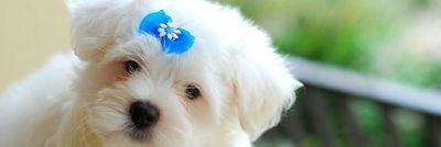 KaviPasumpon's profile picture. 