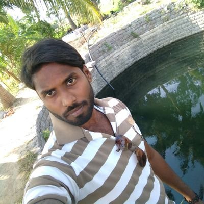 8eb5cf3395f24e7's profile picture. 