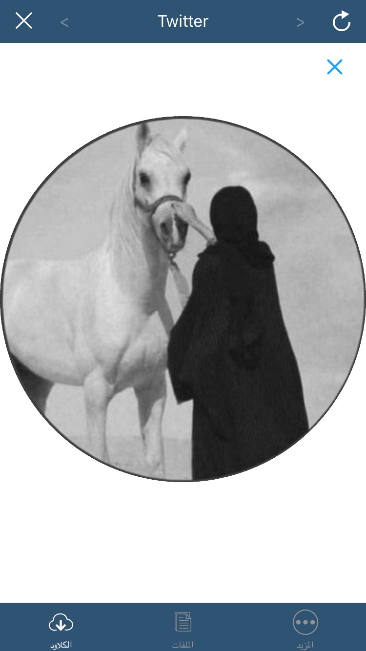 SgokJRrX8DPFmAG's profile picture. الشوق يذبح والمعاني لها بوح 
والوصل درب الماحبين  ضواي
بسمعك شطران لها اصوت مبحوح 
فرق الحبايب جرحن مالها مداوي💔