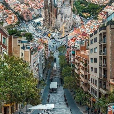 ringodd326's profile picture. 