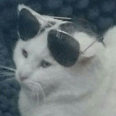 SemmePietersz's profile picture. 