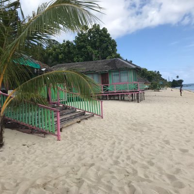 heyahoha's profile picture. Dont let anyone bully you #freedomspeaks #imvax