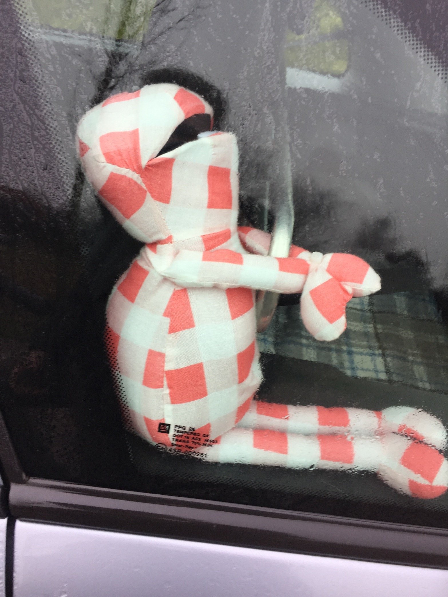 BanaanKompaan's profile picture. 