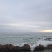 CryptoMadShark (@cryptomadshark) 's Twitter Profile
