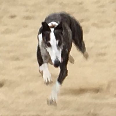 Lescar006's profile picture. 