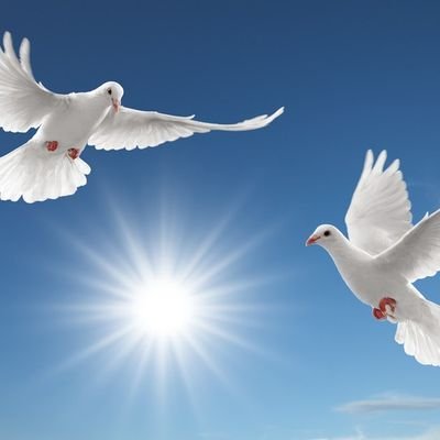 Juriste😉globe trotteuse 😎J'oeuvre tel un colibri pour un monde meilleur 😊