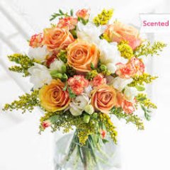 KarenKeye's profile picture. 