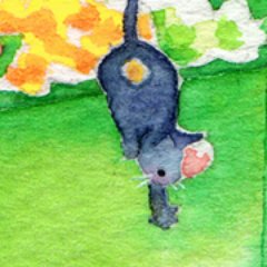 ざわさんのプロフィール画像