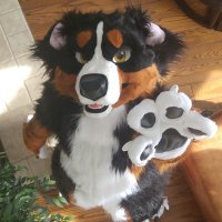 That Derp BMD (@derpbernese) 's Twitter Profile