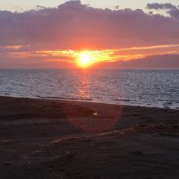 Amand Calderó (@acaldero2) 's Twitter Profile