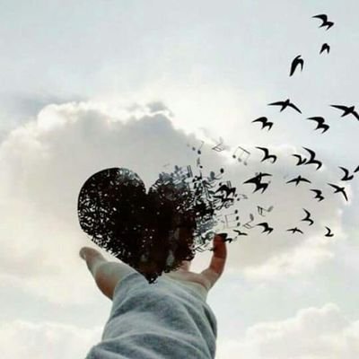 KINGBOY9999's profile picture. عاشق السلام