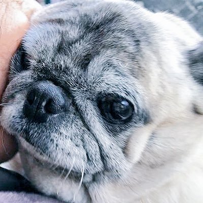 なかにしまゆかさんのプロフィール画像