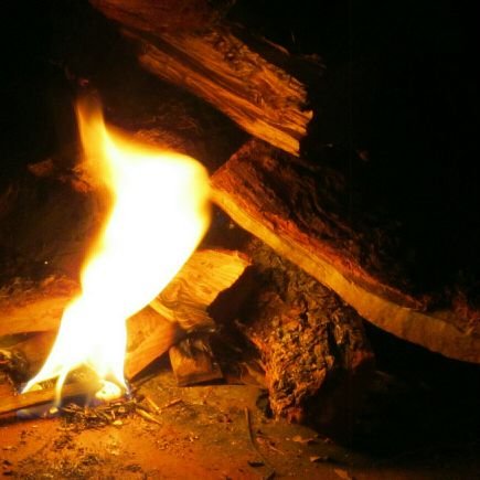 tmvstkp's profile picture. Technology, music, velocity, security, time, kindness & psychology