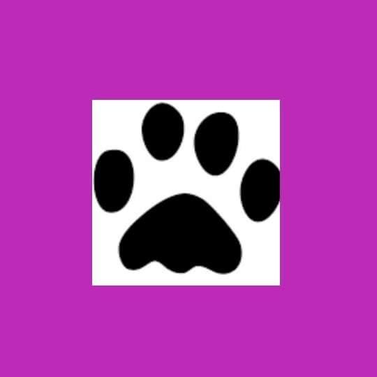 abtc4's profile picture. Peluquería Canina en Positivo