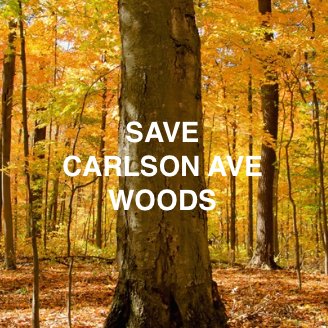 We are outraged by Mt Ida College  plans to destroy 11.5 acres of woodlands in the City of Newton.