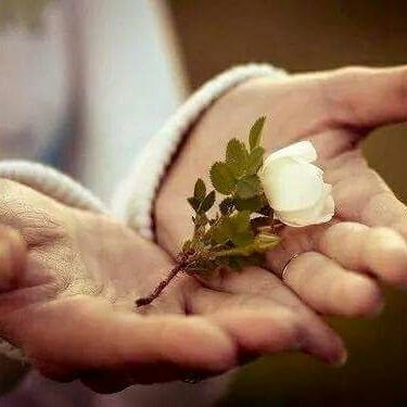 ma10055's profile picture. 