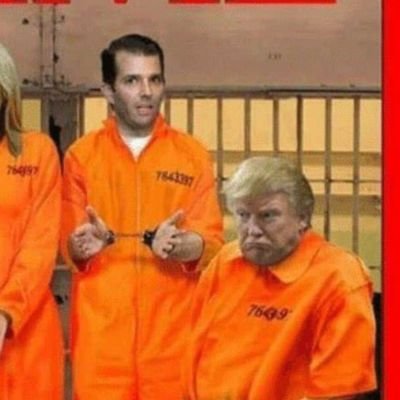 Feathered_T_Rex's profile picture. I repurposed my account to combat Russian political bots. Sorry.