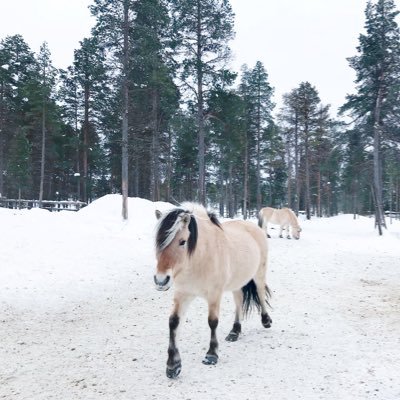 waaallaaam's profile picture. 克服困难