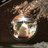 Zero_Point's avatar