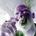 ♊️GaNJaman2469♊️ (@ganjaman2469) Twitter profile photo ♊️GaNJaman2469♊️ (@ganjaman2469) Twitter profile photo