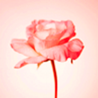 Lara Rose (@lararose) | Twitter