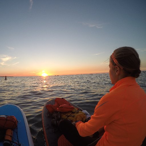 dstriebs26_2's profile picture. 