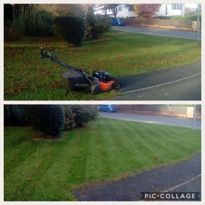 Your one stop, professional gardening & Tree services company