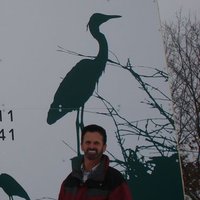Jacques Laurendeau (@jacqueslaurend1) 's Twitter Profile