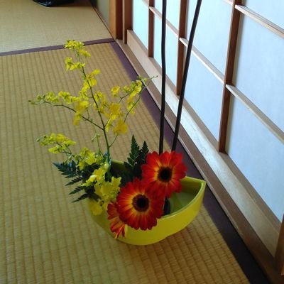 汐湖（旧:カナタラ）さんのプロフィール画像