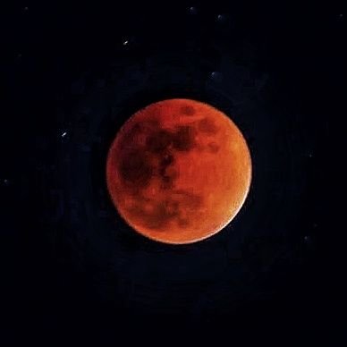 nebayalo's profile picture. ンゴゴゴゴ