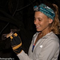 Jaclyn Aliperti (she/her) (@jraliperti) 's Twitter Profile