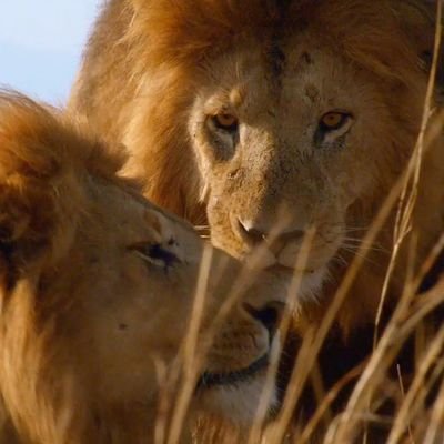 yyn8429's profile picture. Private account. 30ish.