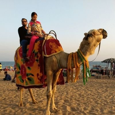 mahesh1078's profile picture. my picks are #mooncoin #Siacoin #funfair #chronobank #fundyourselfnow #plutus #tenx #sono