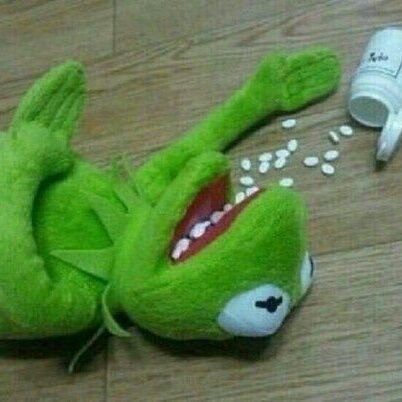 maimindd_'s profile picture. Be bold.