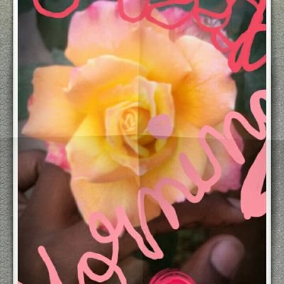 svijaya55's profile picture. A MUSIC LOVER....A special person.. with differently challenged abilities..still want to live in this BIG BAD WORLD..with all HAPPINESS..