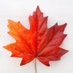 Jan Malcolm 🇨🇦 🇺🇦💔 (@janmalcolm67) Twitter profile photo Jan Malcolm 🇨🇦 🇺🇦💔 (@janmalcolm67) Twitter profile photo
